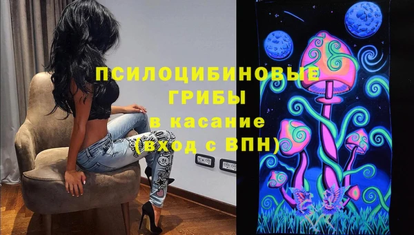 PSILOCYBIN Алексеевка