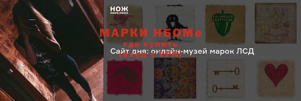 мет Алексин