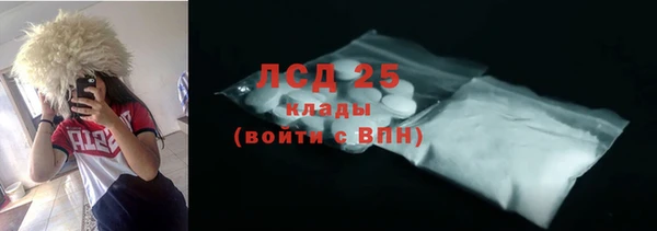 спайс Алзамай