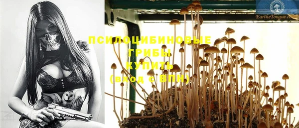 PSILOCYBIN Алексеевка