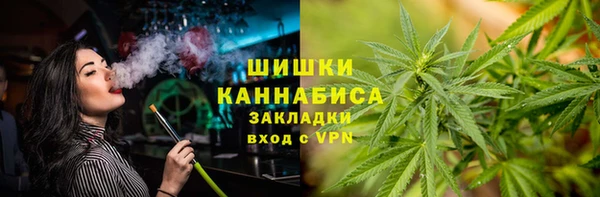спайс Алзамай