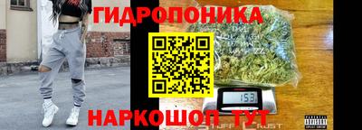 a pvp Кимры