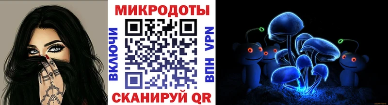 наркотики  Кохма  Галлюциногенные грибы Psilocybine cubensis 