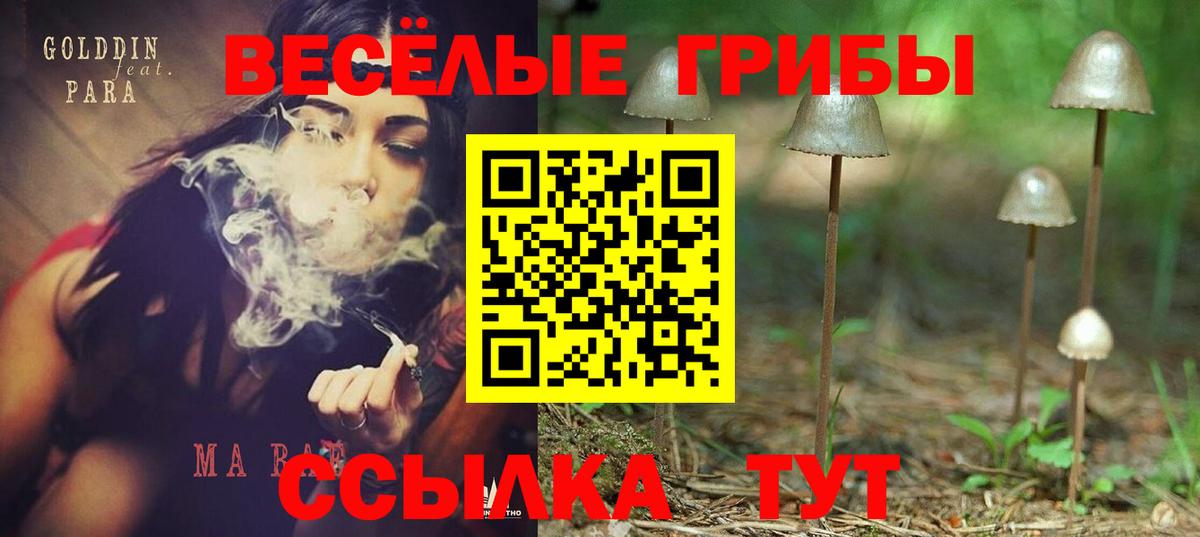Галлюциногенные грибы Magic Shrooms  Вход с VPN  Псилоцибиновые грибы мухоморы  Кохма 